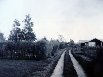 OVER STRANDEN, vejen i 1960erne.jpg